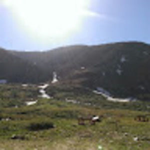 Meet your Posher, Alexandra